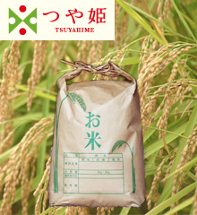 山形米つや姫3kg